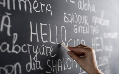 Back to Basics in Education Abroad: A Case for Language & Culture Programs