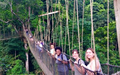 Decolonizing Education for Professional Success: Building Cultural Agility Through DEI-Informed Global Learning