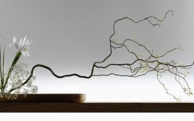 Global Educators Encouraging Participants to Find Their Unique Voice to Speak Their Absolute Truth