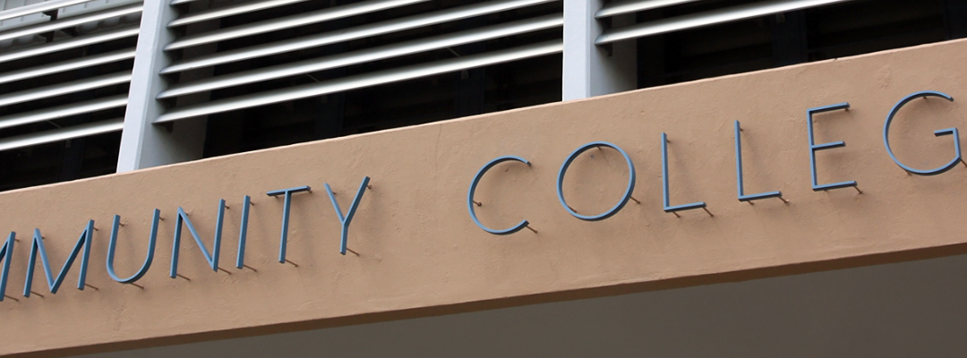 Promising Practices: Study Abroad Efforts in Two Northern California Community Colleges