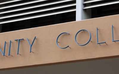 Promising Practices: Study Abroad Efforts in Two Northern California Community Colleges